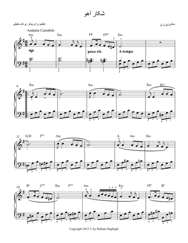 Shekare Ahoo (arr. Parham Haghighi)