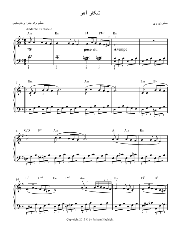 Shekare Ahoo (arr. Parham Haghighi)