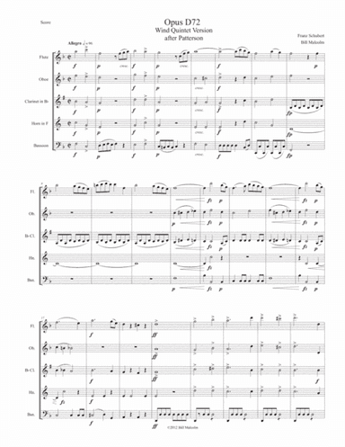 Schubert Opus 72 1st movement for wind quintet (arr. Bill Malcolm)