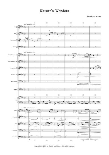 Nature's Wonders for Orchestra