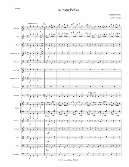Aurora Polka (arr. James Bicigo)