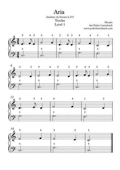 Air From Sonata k.333 (arr. Pedro Lutterbach)