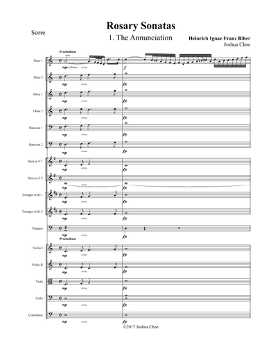 Rosary Sonatas: The Annunciation (arr. Joshua Choe)