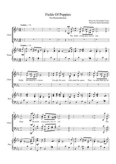 Fields of Poppies (for Remembrance)