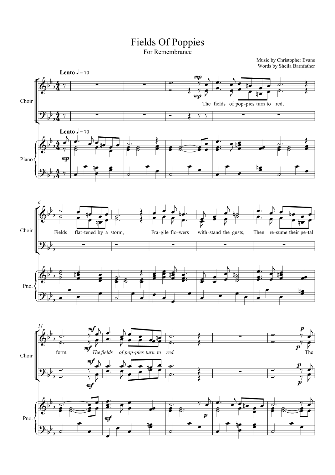 Fields of Poppies (for Remembrance)