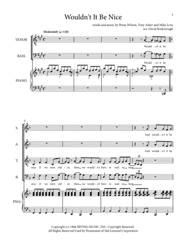 Wouldn't It Be Nice (arr. David Rosborough)
