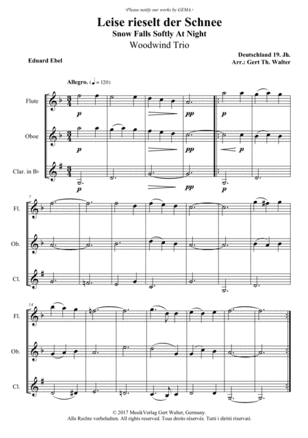 Snow Falls Softly At Night (arr. Gert Th. Walter)