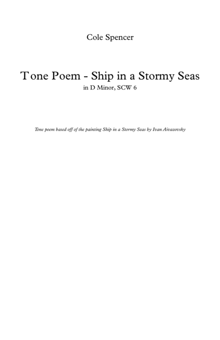 Ship in a Stormy Seas