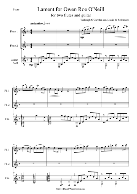 Lament for Owen Roe O'Neill for 2 flutes and guitar (arr. David Warin Solomons)