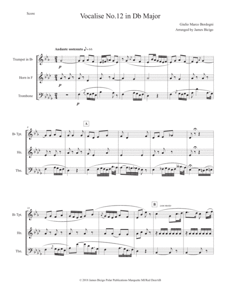 Vocaise No. 12 in Db Major (arr. James Bicigo)