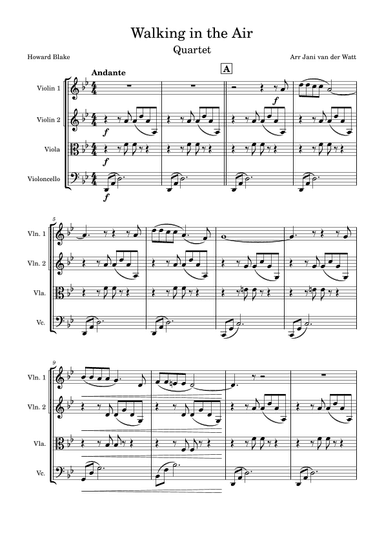 Walking In The Air (arr. Jani van der Watt)