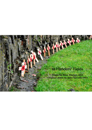 In Flanders Fields