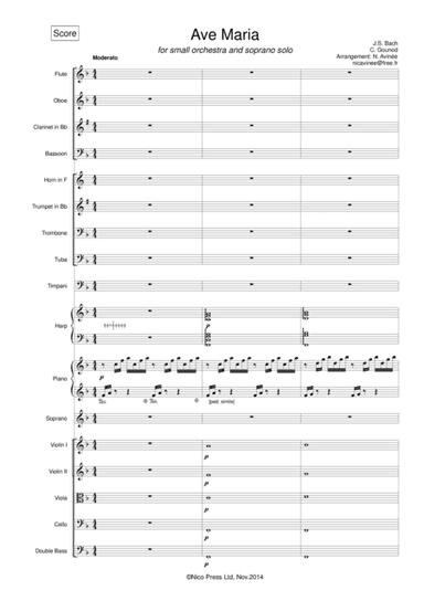 Ave Maria (arr. Nicolas Avinée)