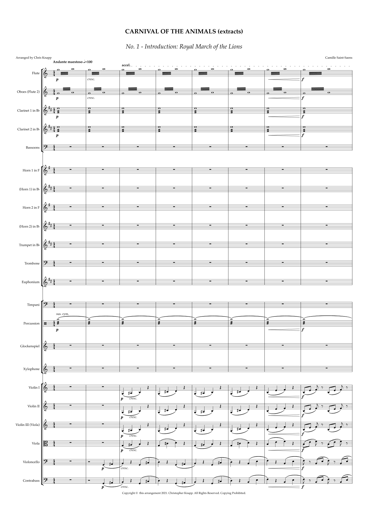 Carnival of the Animals (excerpts) (arr. Chris Knapp)