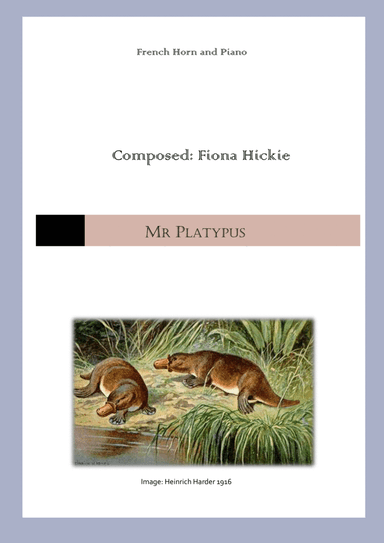 Mr Platypus