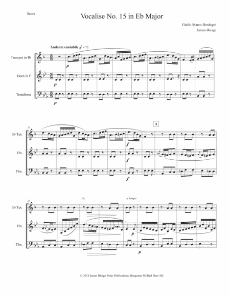 Vocalise No. 15 in Eb Major (arr. James Bicigo)