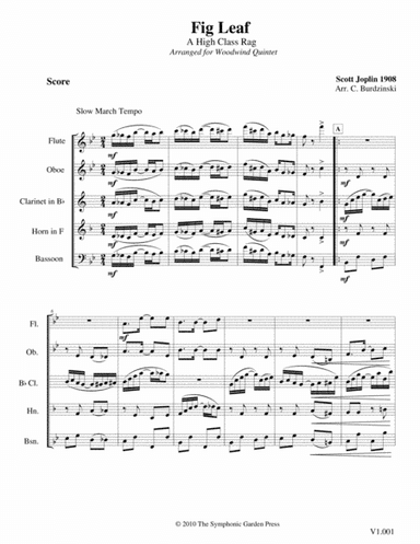 Fig Leaf Rag (Scott Joplin) - woodwind quintet (arr. C. Burdzinski)