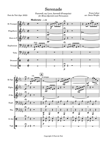 Serenade (Frasquita) - Franz Lehár arr. Denis Wright (Brass Quintet & Percussion) (arr. Denis Wright & Peet du Toit)