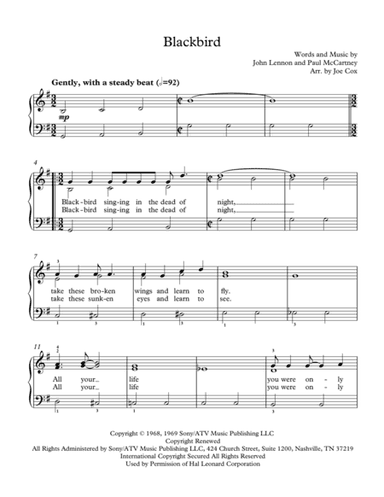 Blackbird (arr. Joe Cox)