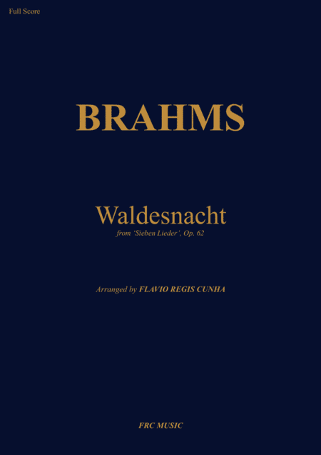 Waldesnacht (from Sieben Lieder Op.62) for String Orchestra (arr. Flávio Régis Cunha)