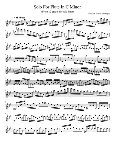 Solo For Flute In C Minor (From 12 Etudes For Flute Solo)