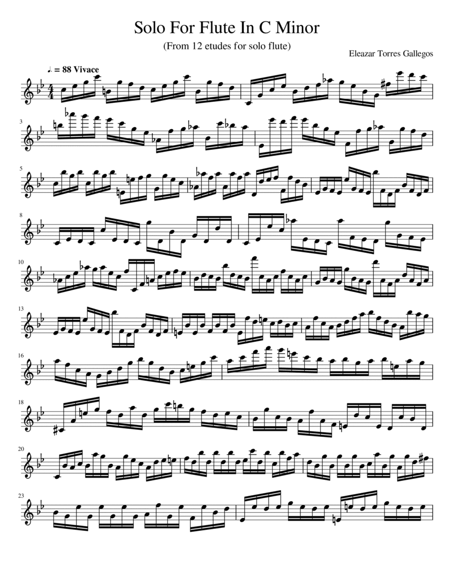 Solo For Flute In C Minor (From 12 Etudes For Flute Solo)