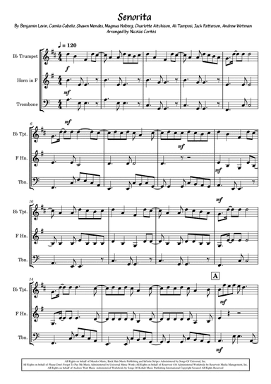 Senorita (arr. Nicolás Cortés Castillo)