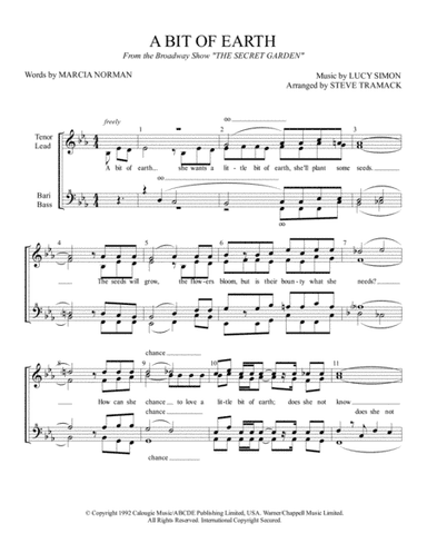 A Bit Of Earth (arr. Steve Tramack)