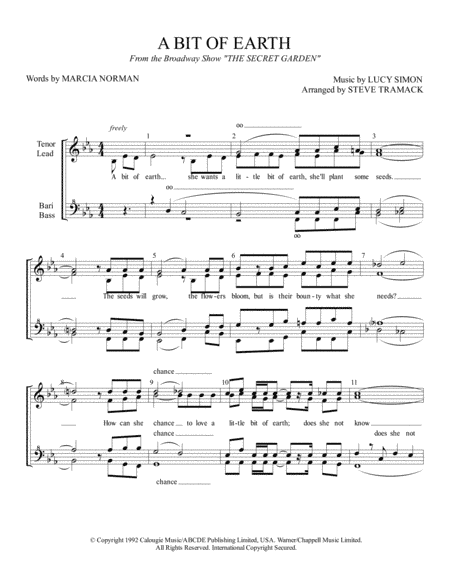 A Bit Of Earth (arr. Steve Tramack)