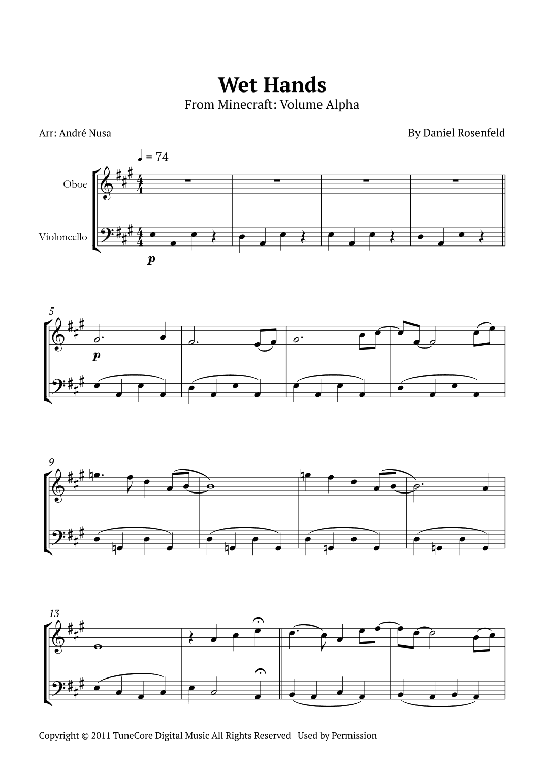 Wet Hands (arr. André Nusa)