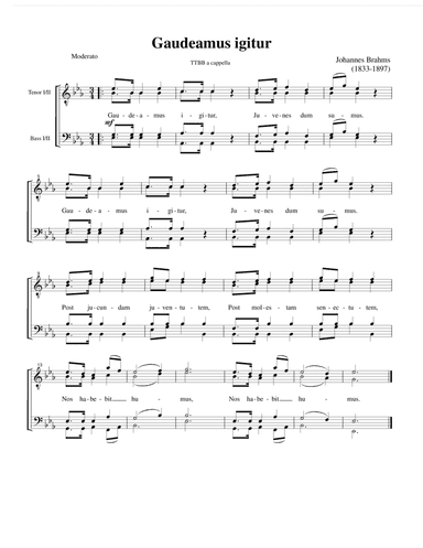 Gaudeamus igitur (arr. Thomas Jancso)