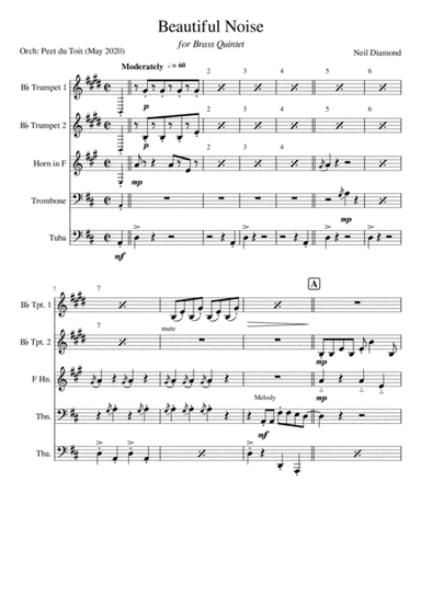 Beautiful Noise (arr. Peet du Toit)