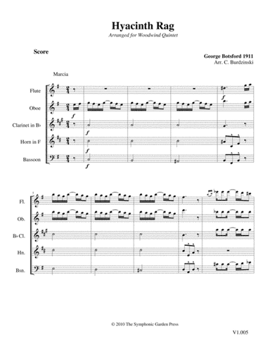 Hyacinth Rag (G. Botsford) - woodwind quintet (arr. C. Burdzinski)