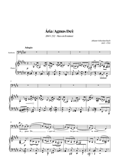 Aria (Agnus dei) from the Mass in B Minor (BACH) - Baritone_C#m (arr. André Alberto Santos)