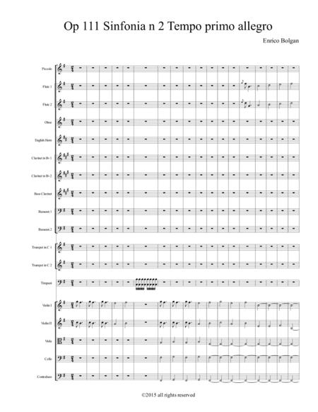 Op 111 Sinfonia n 2 primo movimento Allegro