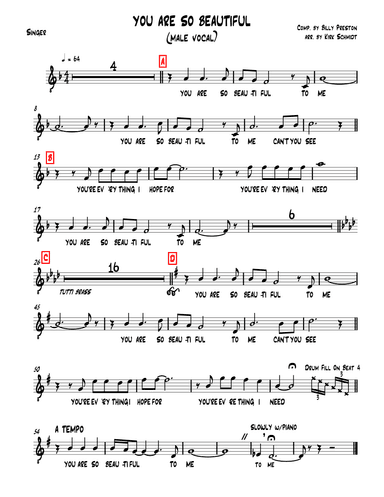 You Are So Beautiful (arr. Kirk Schmidt)