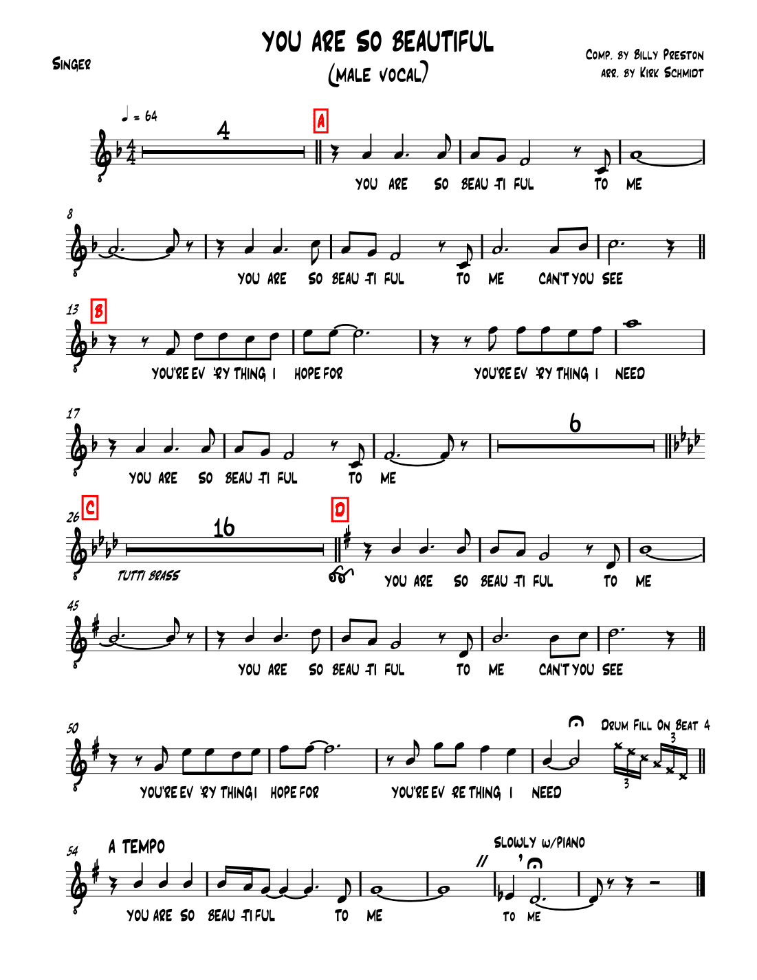 You Are So Beautiful (arr. Kirk Schmidt)