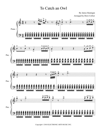 To Catch An Owl (arr. Drew Collier)