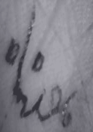Morse Charang : 003106