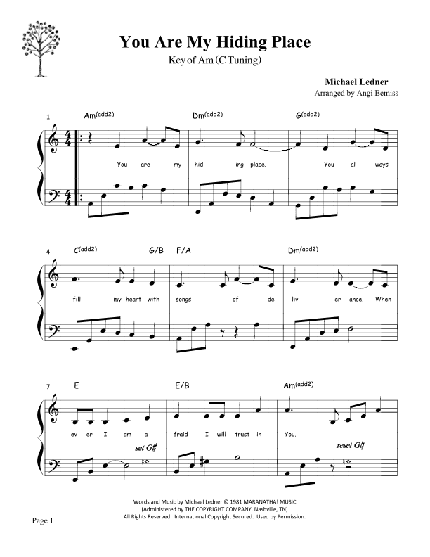 You Are My Hiding Place (arr. Angi Bemiss of Simply the Harp)