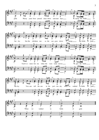 Fields Of Gold (arr. Marilyn Penketh)