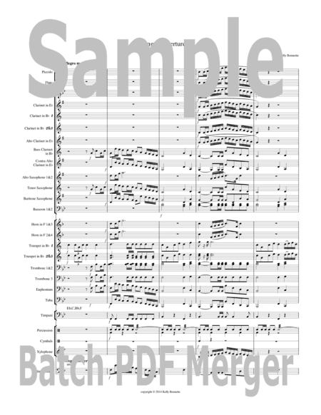 Serengheti Overture