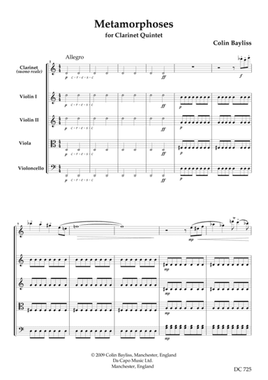 Metamorphoses -for clarinet quintet