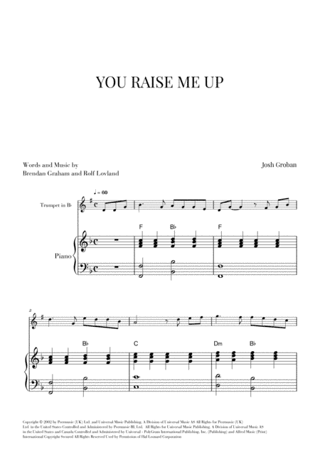 You Raise Me Up (arr. Cadenza Editions)