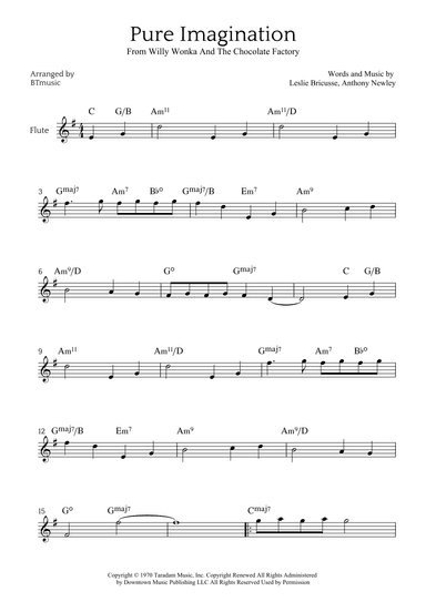 Pure Imagination (arr. BTmusic)