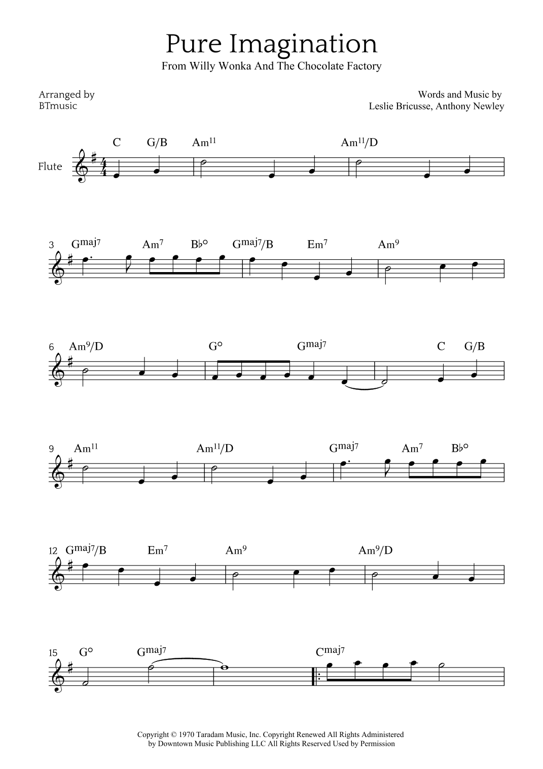 Pure Imagination (arr. BTmusic)