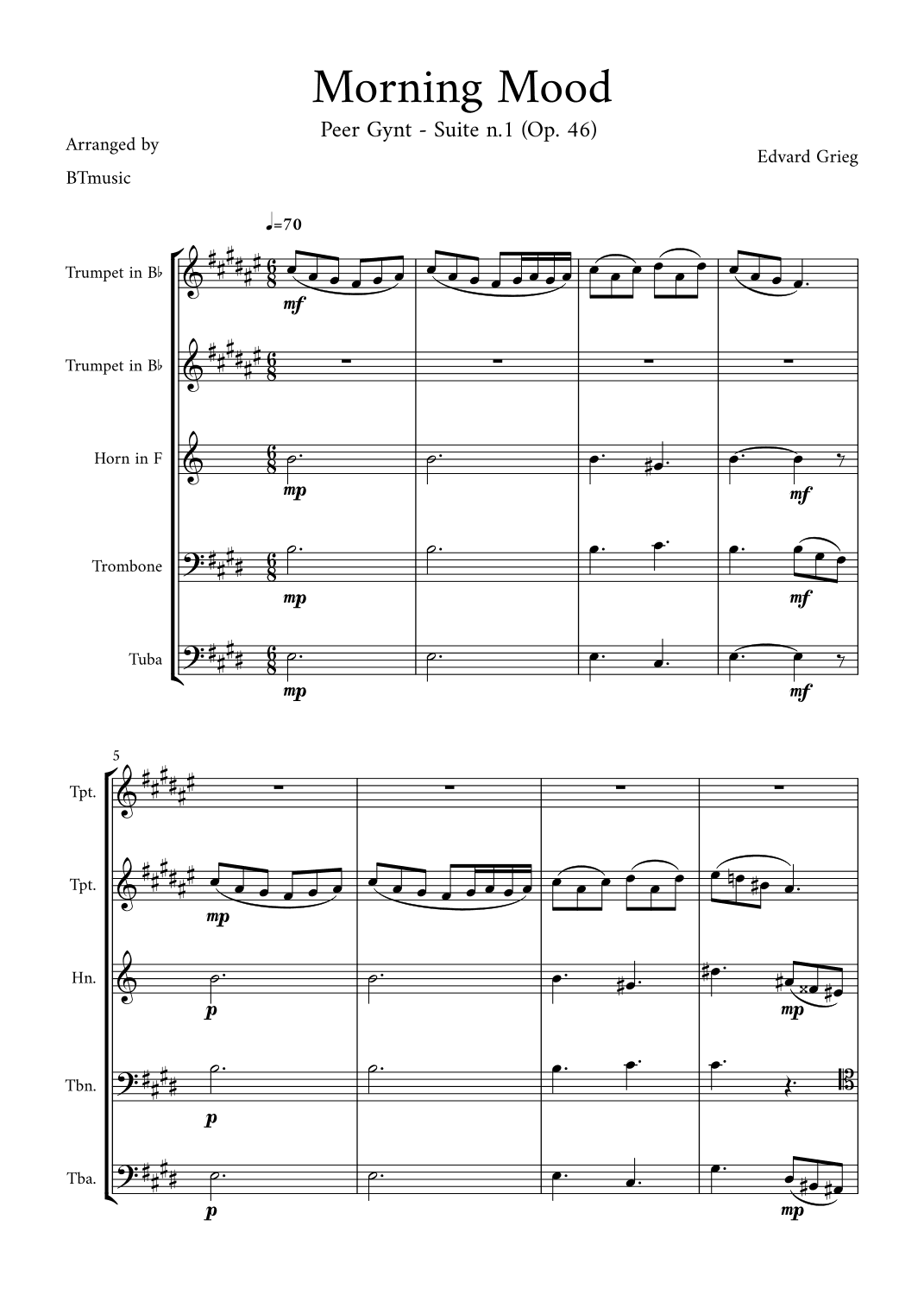Morning Mood (Peer Gynt Suite N.1, Op 46) (arr. BTmusic)