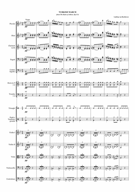 Turkish March from the Ruins of Athens (arr. Dmitry Ganin)