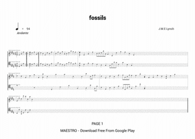 Fossils B94