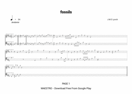 Fossils B94